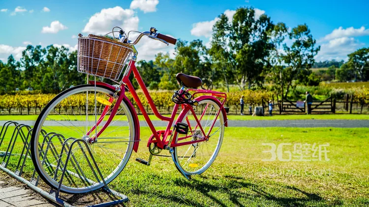 简单方便，各式各样的自行车，山地自行车唯美静物摄影图片2