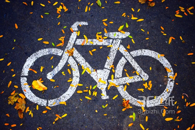 简单方便，各式各样的自行车，山地自行车唯美静物摄影图片8