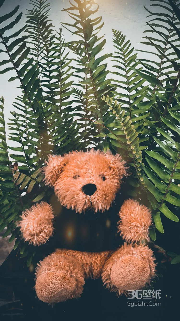 各种各样的可爱毛绒玩具熊，抱抱熊图片3