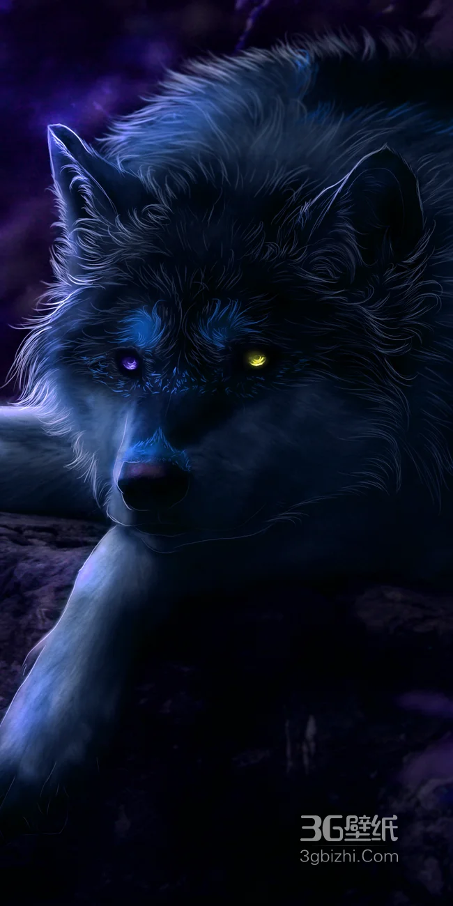 暗夜风中狼，眼睛泛光的狼高清酷炫手机壁纸图片1