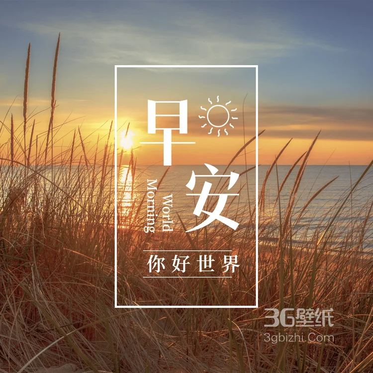 日出，芦苇，安静的湖泊，唯美早安你好世界最新2023图片1