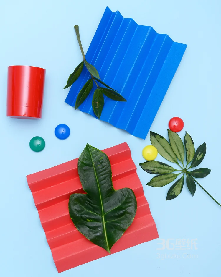 极简主义，各种不同树叶叶子和极简清新颜色背景的艺术碰撞生活图片5