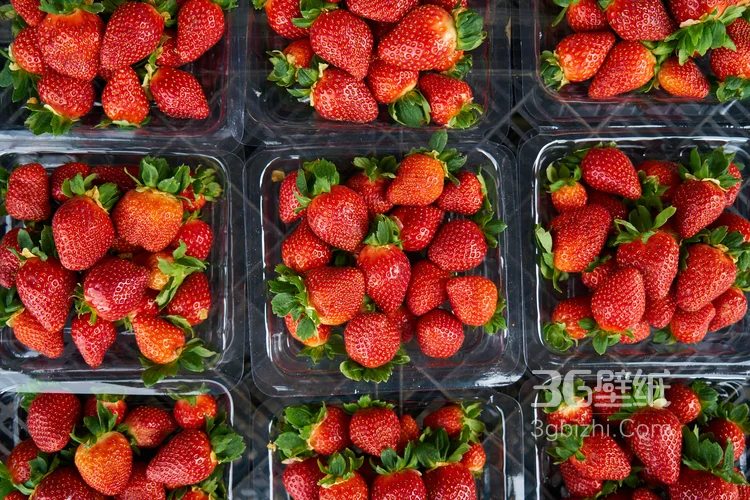 美味水果草莓，新鲜采摘的成熟草莓唯美摄影图片3