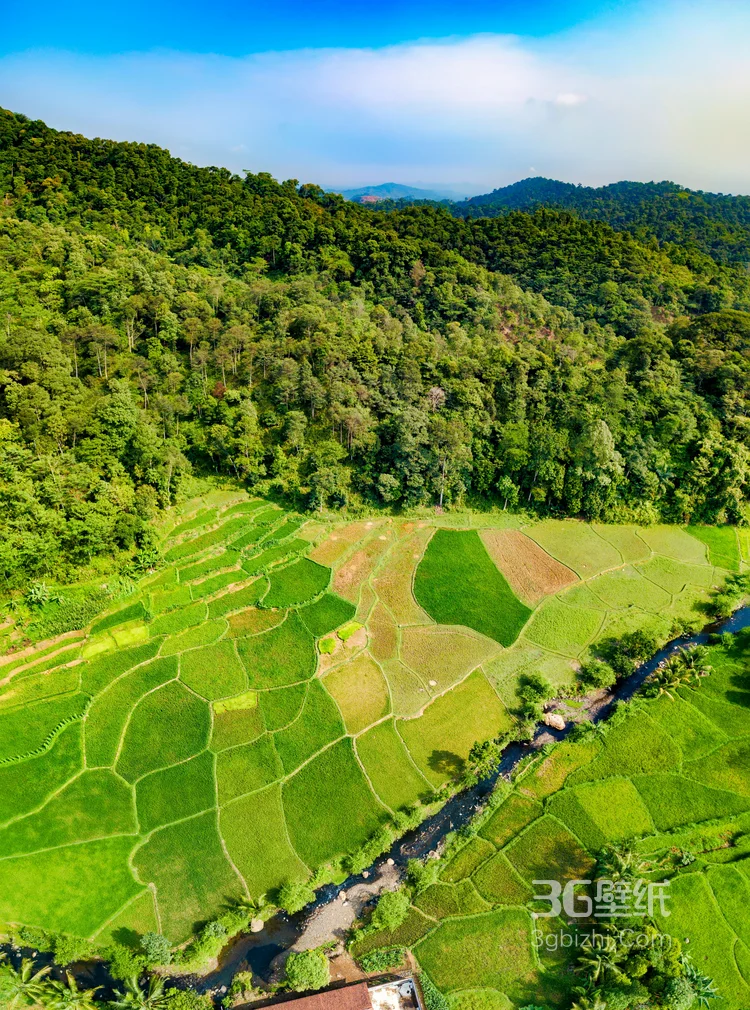稻田无人机拍图片，一块一块错落有致的稻田唯美航拍图片6