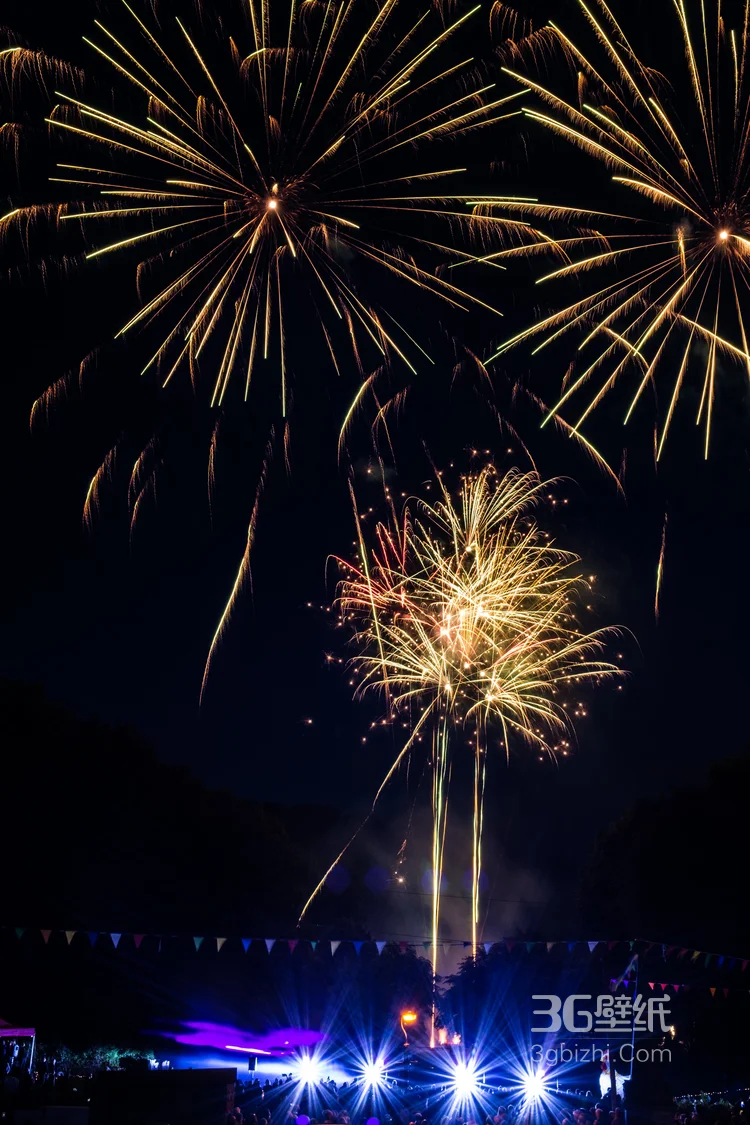 夜空中，璀璨迷人的烟花唯美摄影套图5