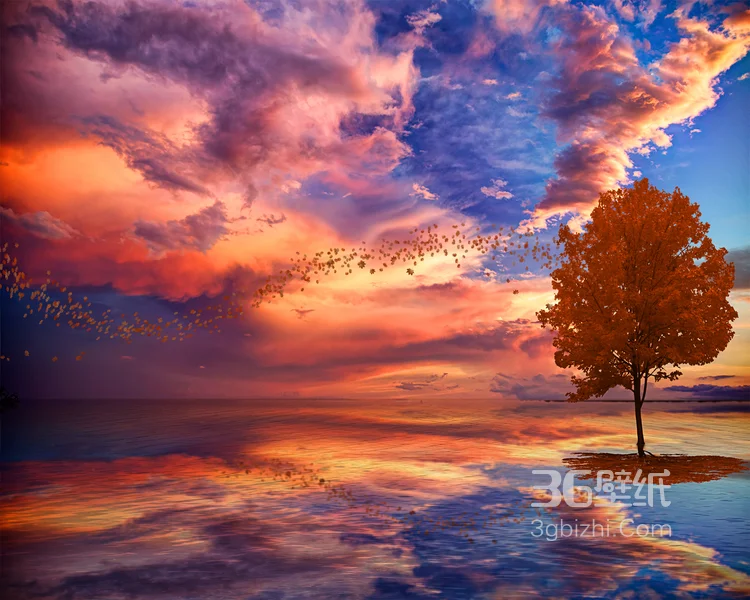 火红的或粉色天空云彩美图，它们像烈火，像棉花糖，在蔚蓝的天空中绽放2