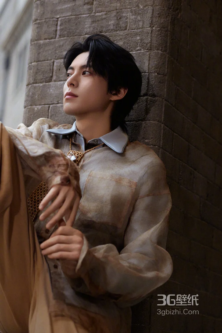  王鹤棣浅棕晕染衬衫复古优雅，清俊有型写真图片7