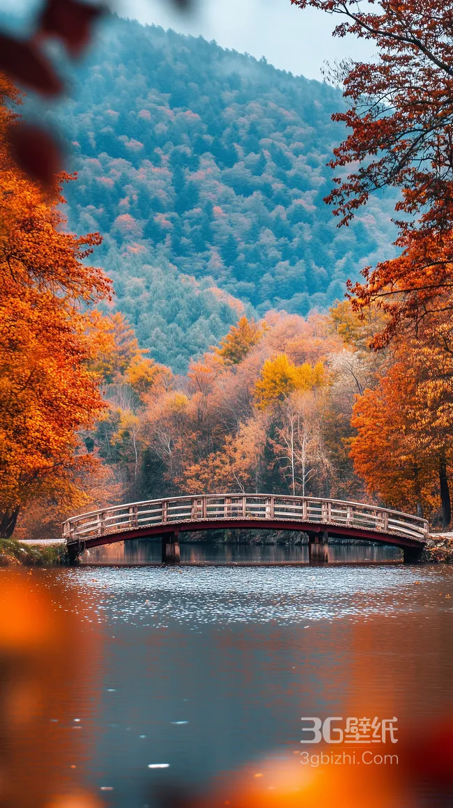 湖中，红叶树，远处，一座拱桥，茂密的森林唯美景色手机壁纸图片1