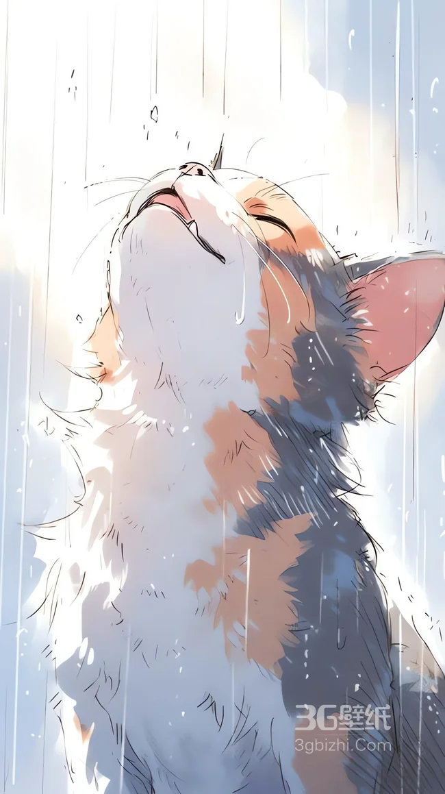 三花猫抬头淋雨 治愈系插画雨中猫咪手机壁纸1