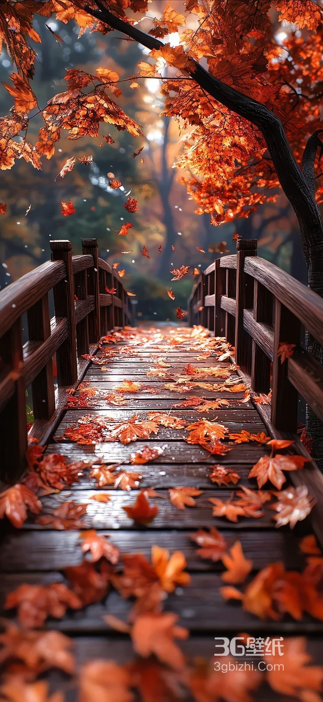 秋日枫树林木桥落叶景观1