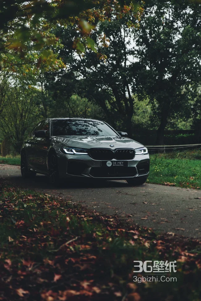 宝马M5汽车 秋日林间落叶路1