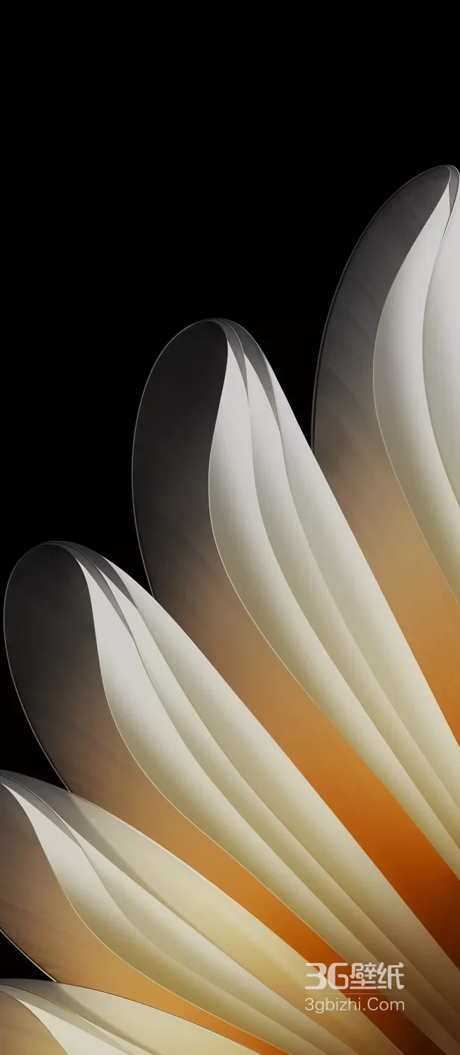 创意光影渐变花瓣艺术装饰图案1