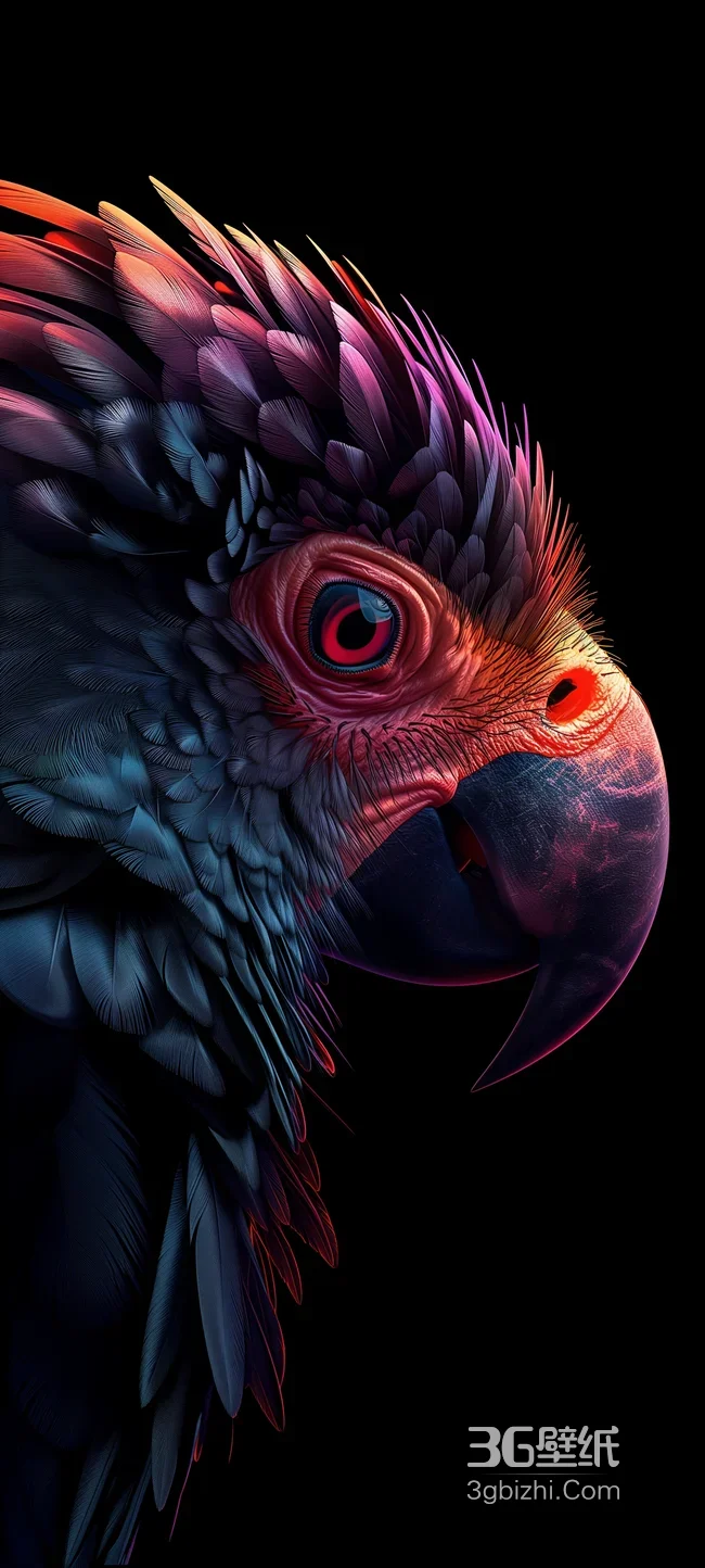 炫彩金刚鹦鹉头部特写艺术插画1