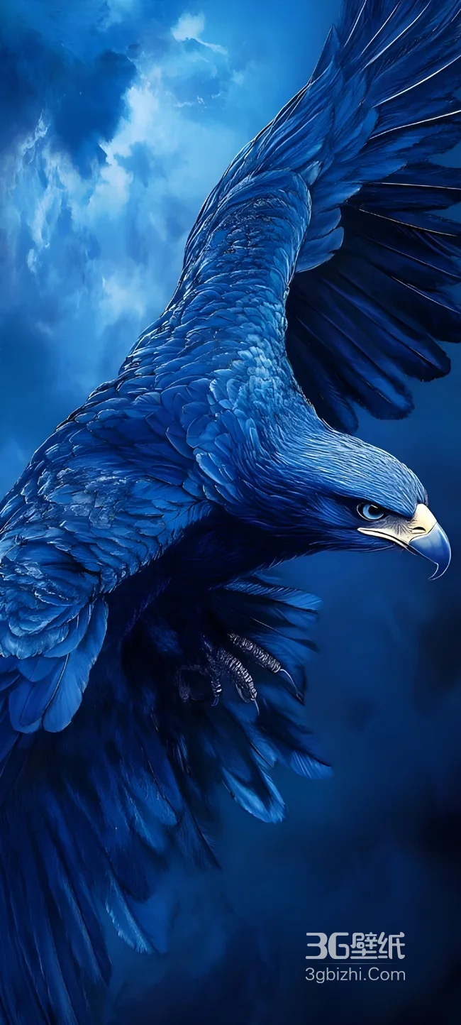 湛蓝雄鹰振翅翱翔 云海苍穹自然奇景1