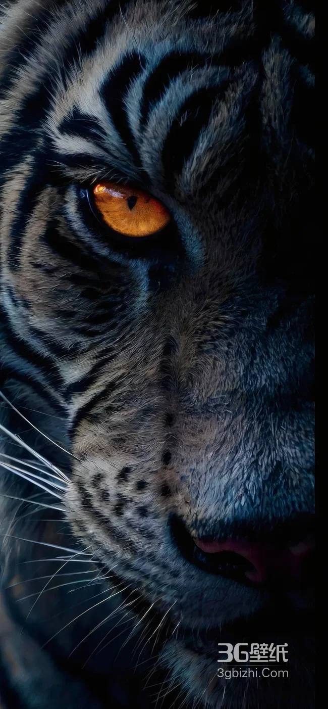 《奇幻森林》谢利可汗老虎特写 暗黑写实猛兽壁纸1