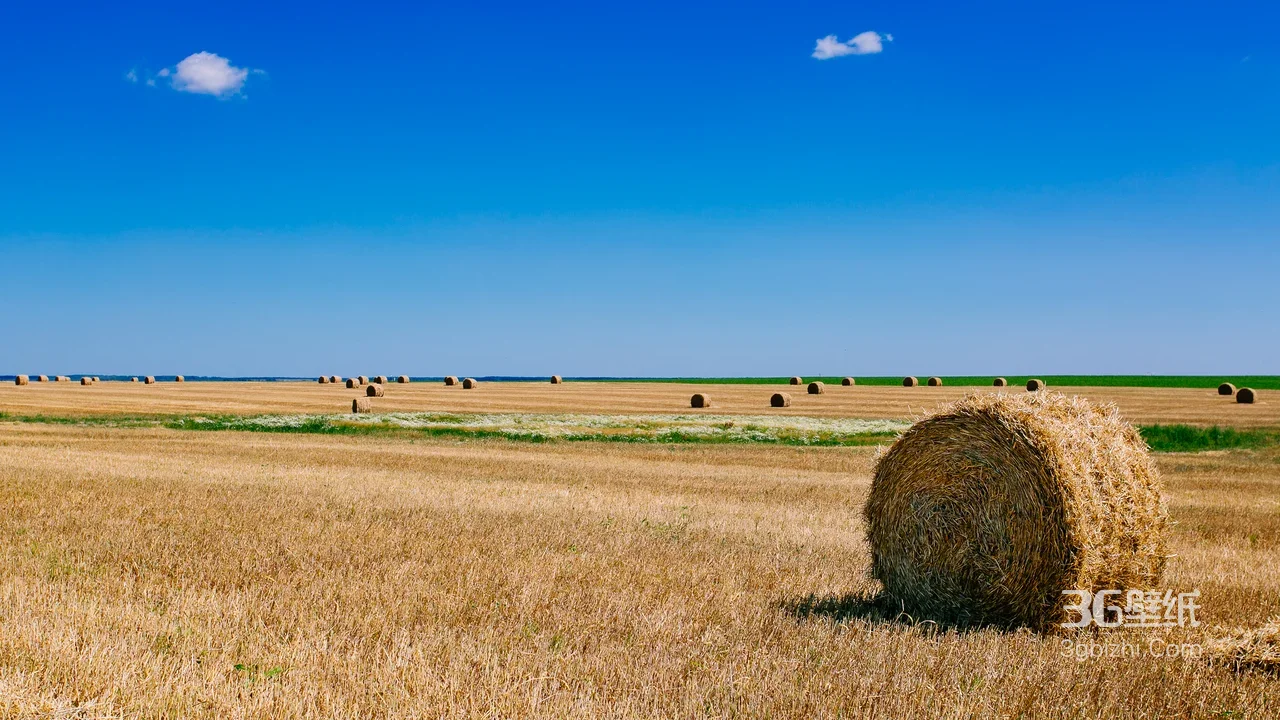 金黄麦田草垛田园风光自然风景桌面背景1