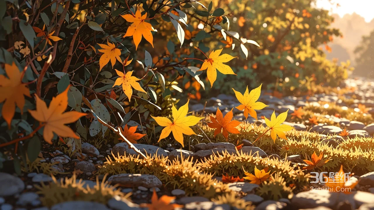 唯美秋日·枫叶苔藓鹅卵石径 氛围感拉满1