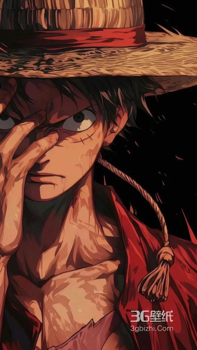 蒙奇·D·路飞·草帽坚毅（海贼王暗黑热血风）高清无水印1