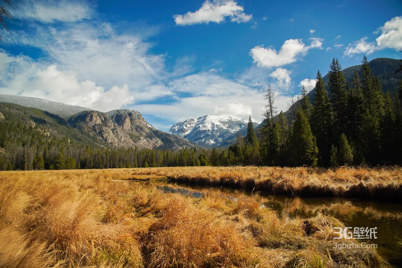 金黄草甸溪流·雪山森林 唯美写实自然风景高清无水印1