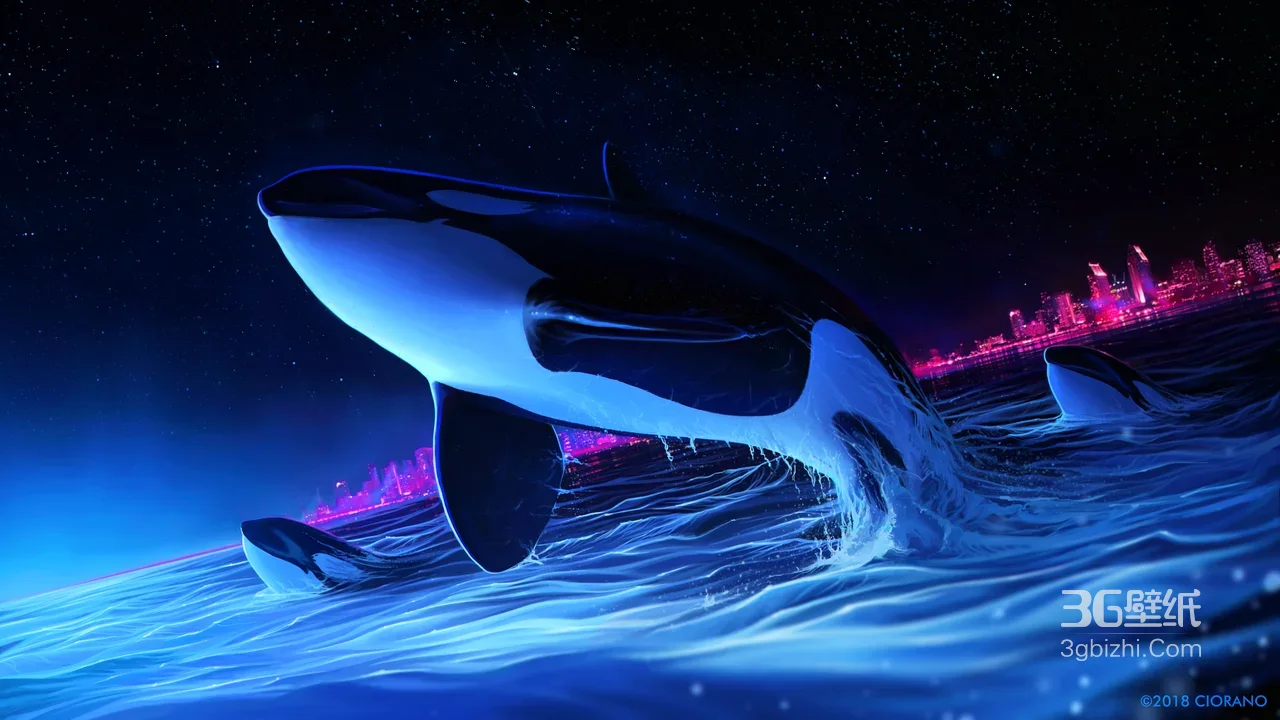 逆戟鲸跃海·赛博朋克霓虹都市 插画宽屏车机壁纸氛围感拉满1