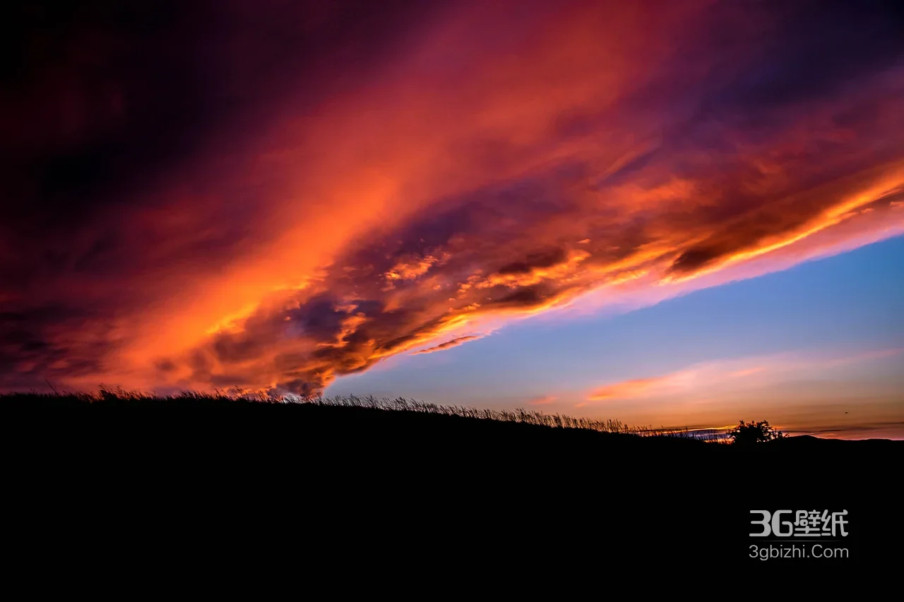 落日熔金云霞·剪影草地唯美自然景观 高清风景桌面1