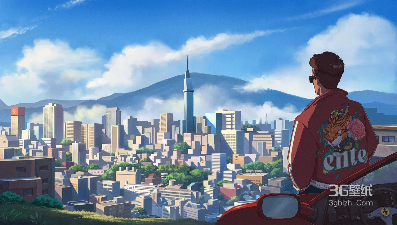 远眺城市全景的少年·二次元唯美插画·高清风景插画1