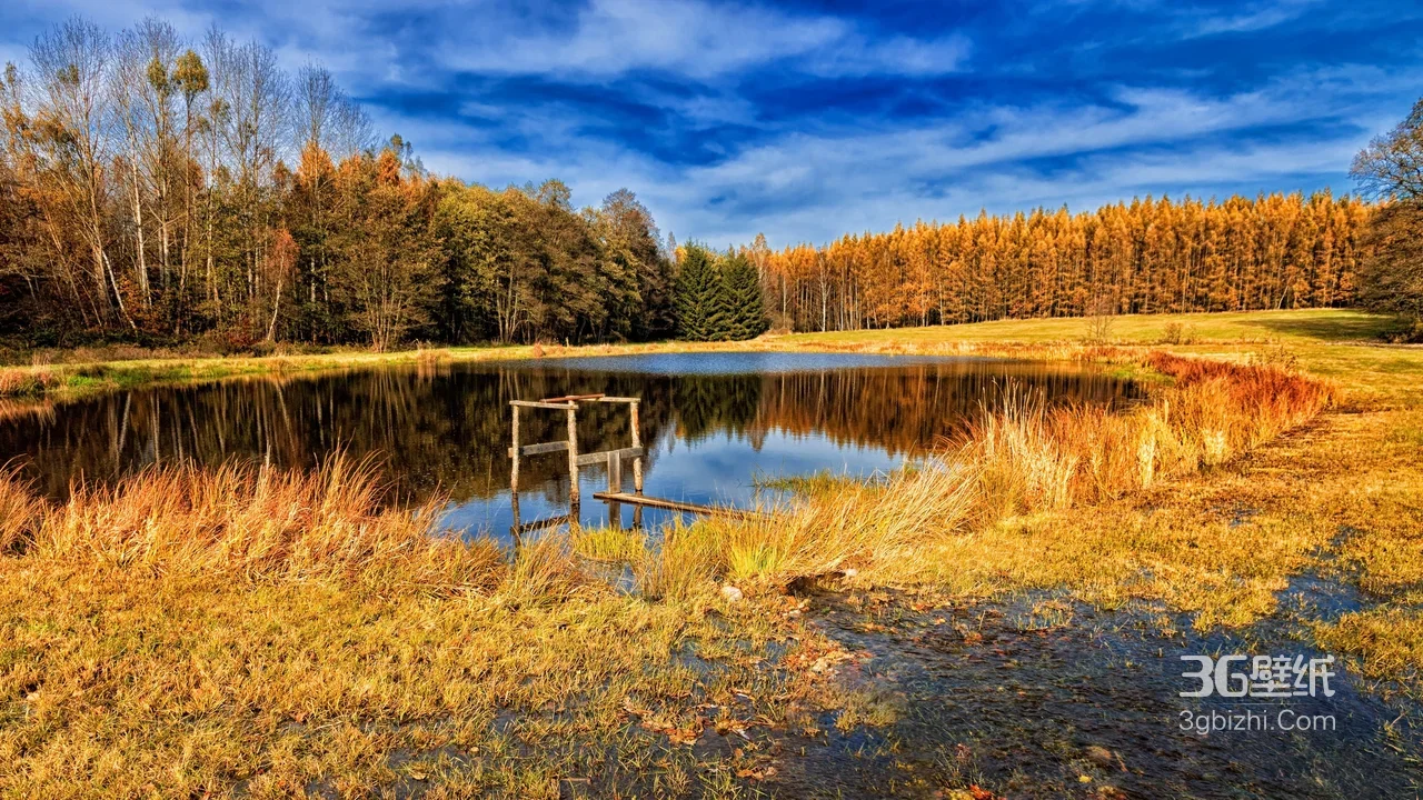 秋日森林湖泊木架·唯美写实 自然风景宽屏电脑壁纸1