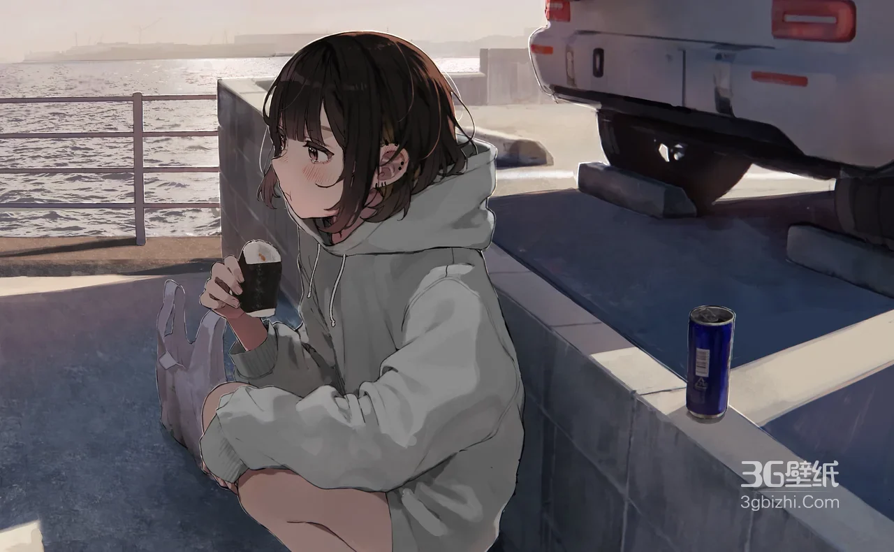 海边蹲坐少女·灰卫衣短发·日系治愈二次元插画·治愈系桌面背景1