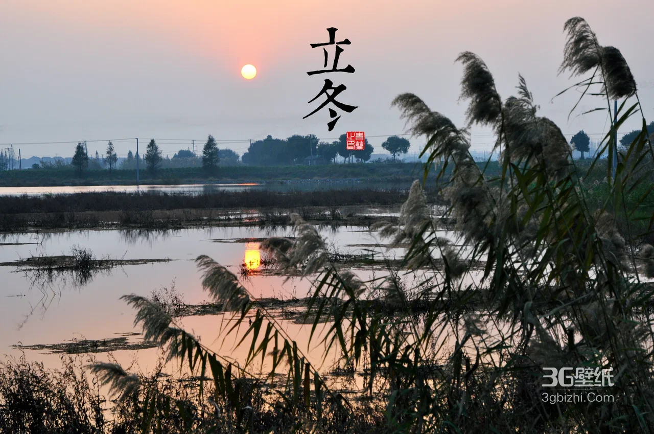 立冬落日芦苇湿地风光·国风唯美意境·高清自然风景桌面背景1