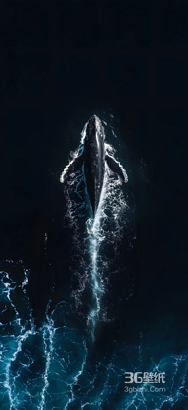 深海巨鲸·暗黑深邃破浪游动 超震撼水波海洋生物手机壁纸1