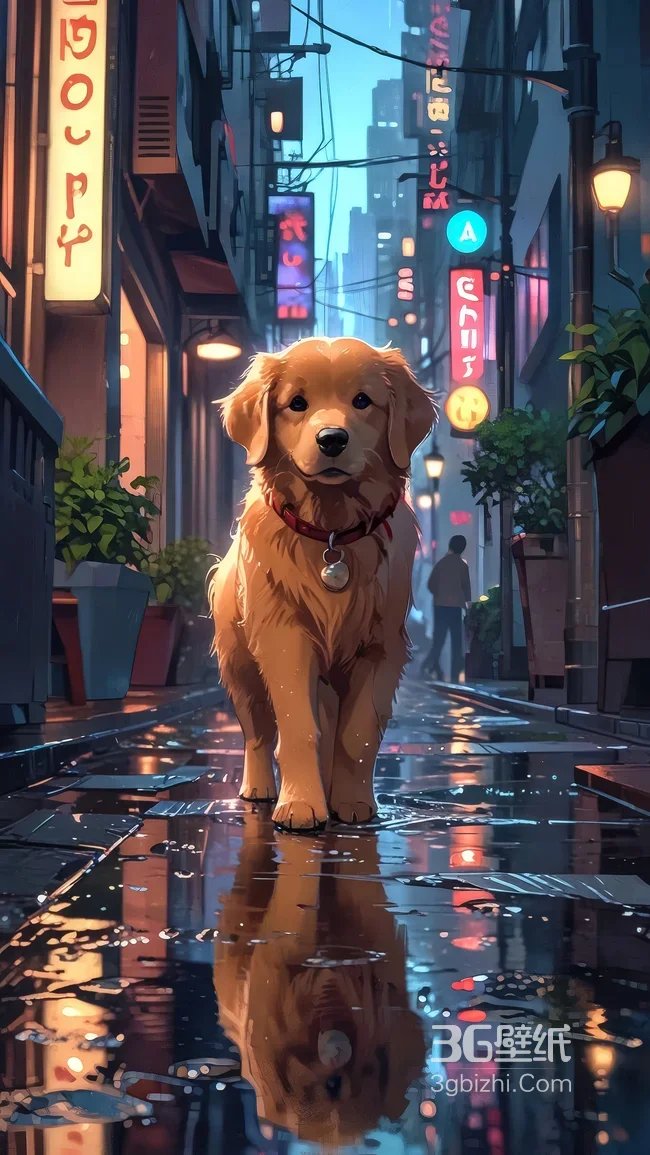 金毛幼犬·雨后霓虹街道倒影 赛博朋克治愈系高清无水印1