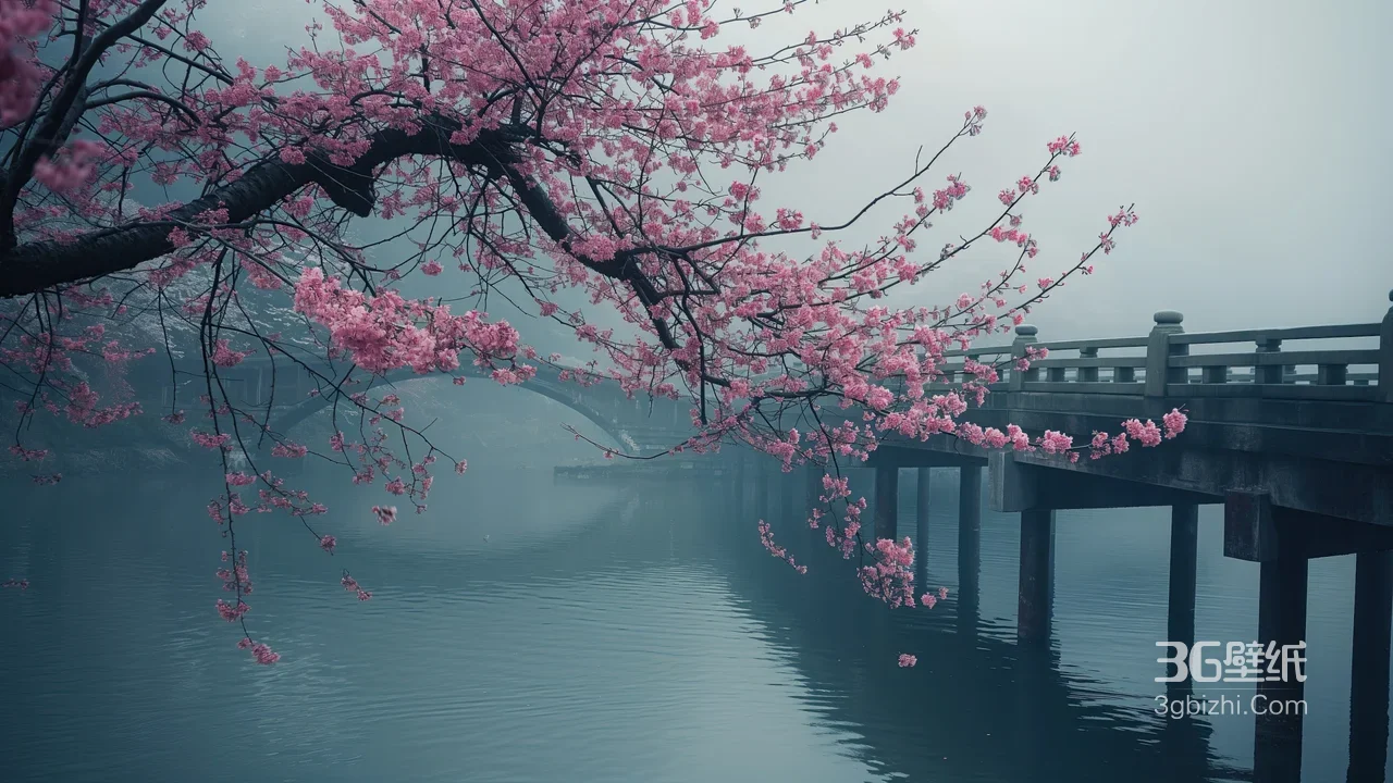 樱花垂枝·拱桥渡雾 唯美国风江南水景电脑壁纸1