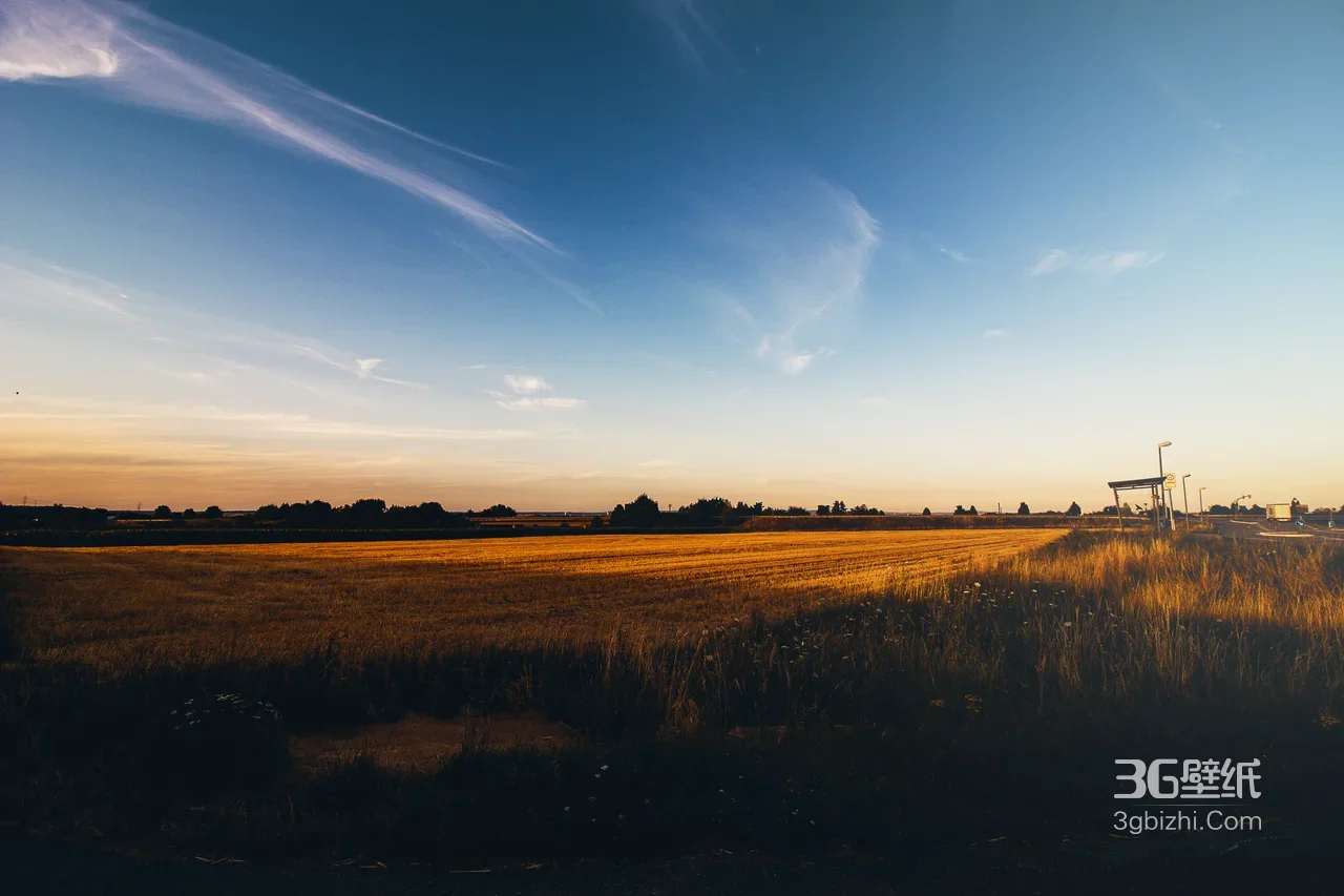 田园黄昏金黄田野·唯美写实风 宽屏电脑壁纸1