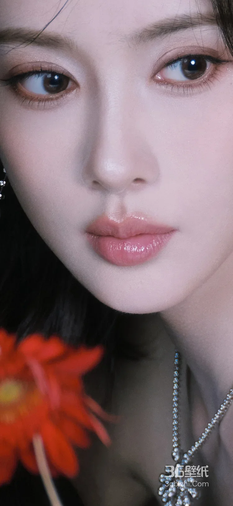 杨超越·暗黑奢华造型 复古优雅风艺术写真4