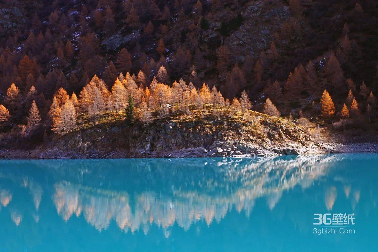 湖岸橙林映青湖·唯美写实 秋日山水风光电脑壁纸1