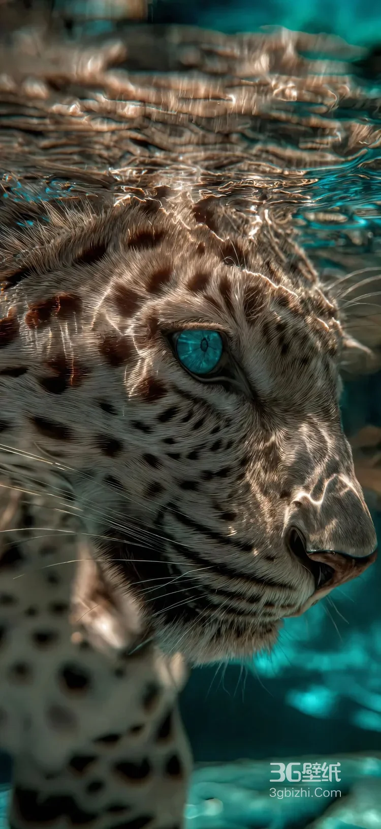 璀璨粒子豹·奇幻星光风 艺术创作 神秘生物各类的豹子超清手机壁纸图片大全6