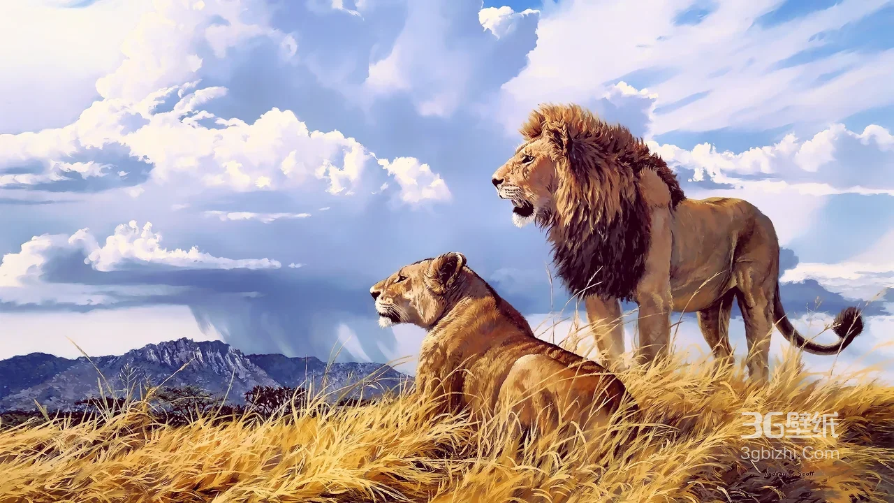 草原雄狮雌狮·写实油画风·草原王者主题宽屏壁纸1
