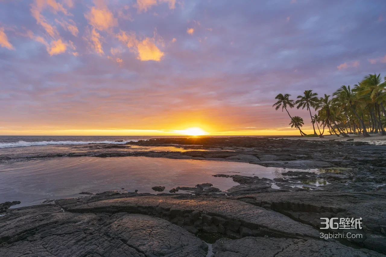 海边日落岩石滩棕榈树·唯美自然风电脑壁纸1