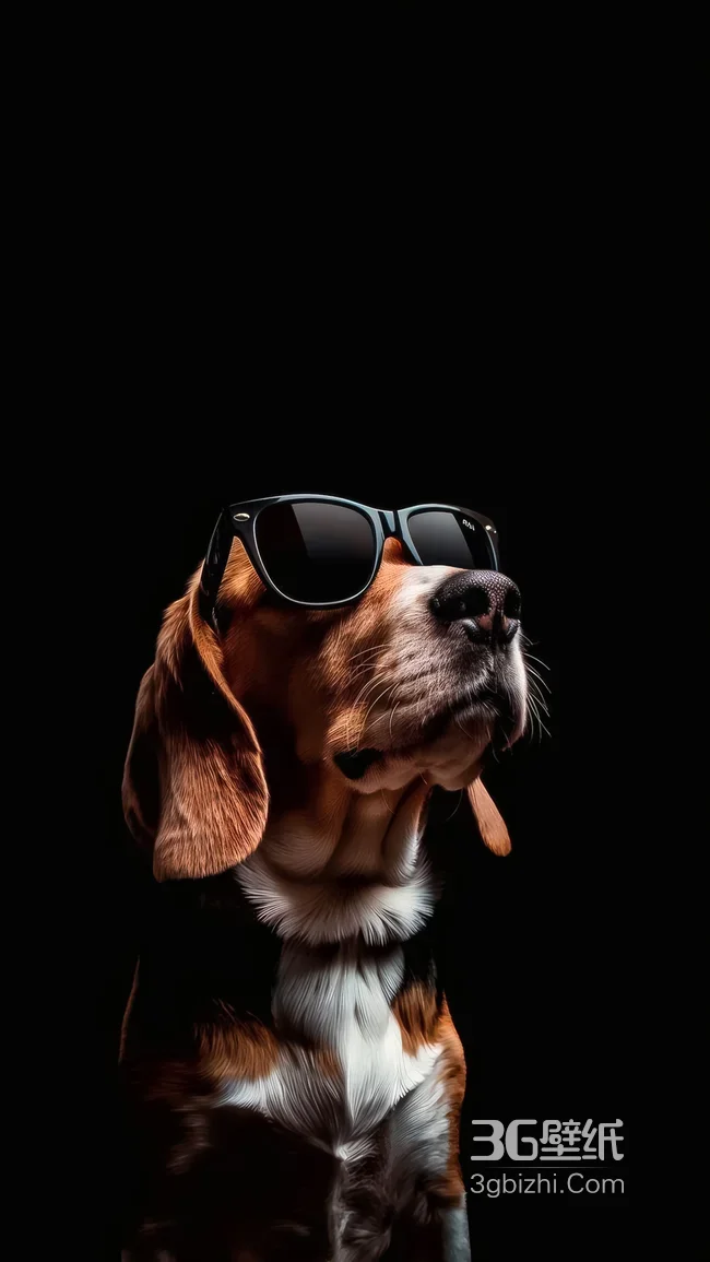 戴墨镜的比格犬·时尚酷炫风·高清无水印1