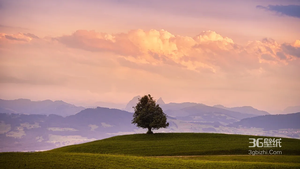 孤树·草原远山云霞·唯美自然风景桌面背景1