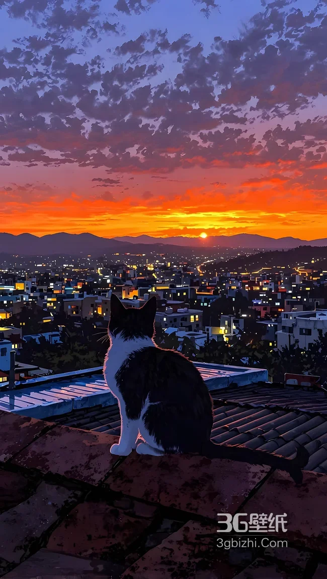 黑白猫屋顶眺望城市日落 唯美插画风远山晚霞治愈手机壁纸1