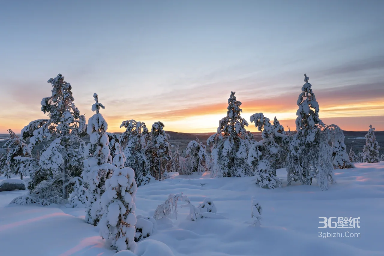 雪覆针叶林·黄昏雪原 静谧唯美冬日电脑壁纸1
