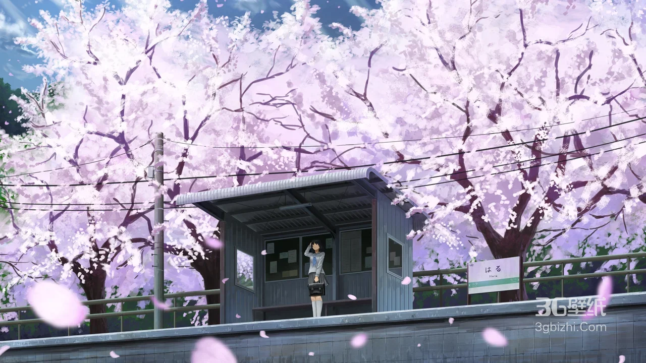樱花车站校服少女 日式唯美动漫风 春日落樱站台壁纸1