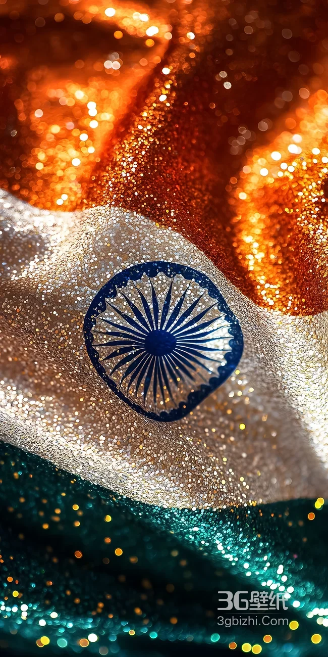 印度国旗阿育王轮 炫彩闪亮爱国风手机壁纸1