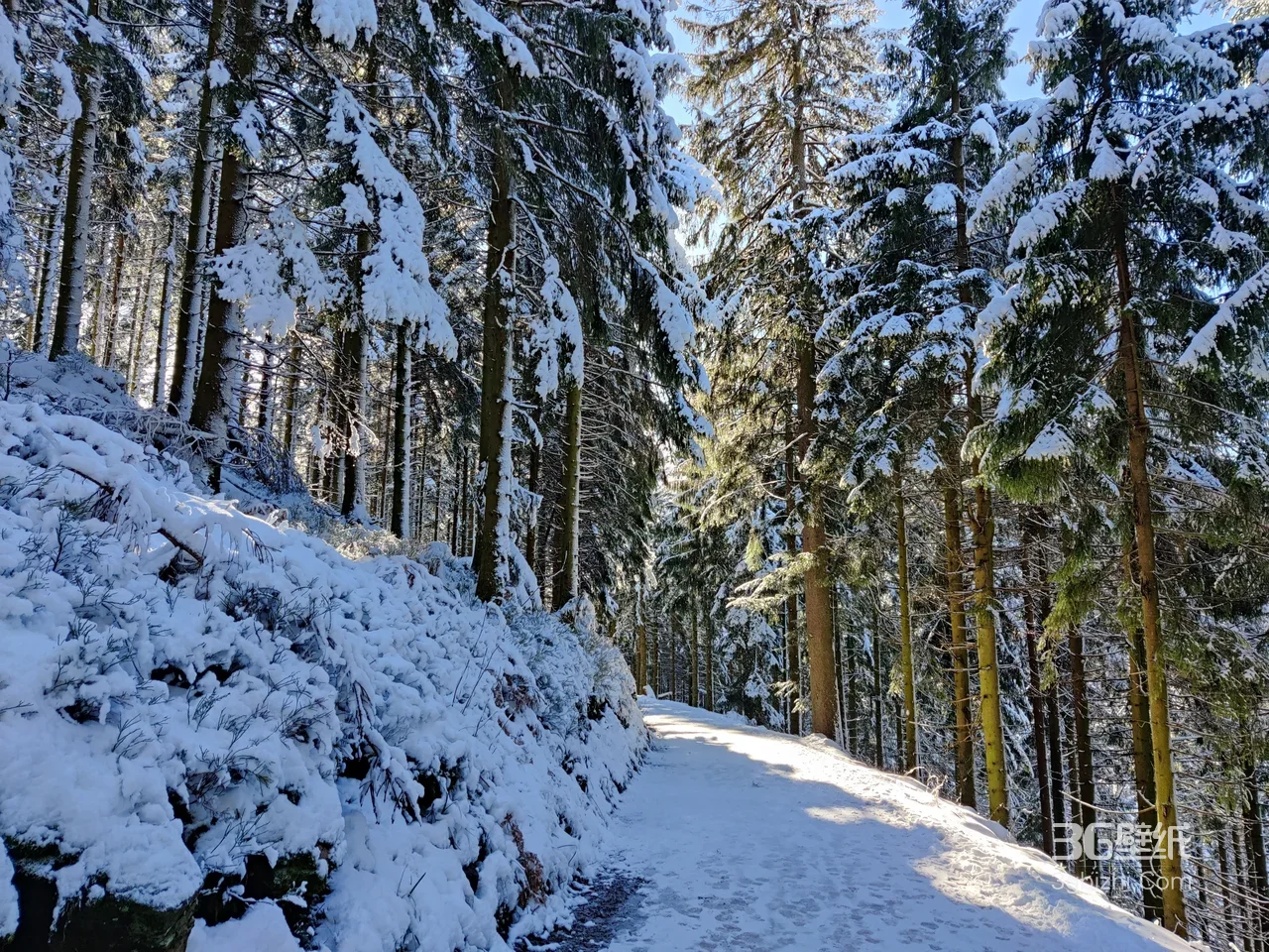 雪林小径·唯美冬日 阳光覆雪森林静谧雪景电脑壁纸推荐1