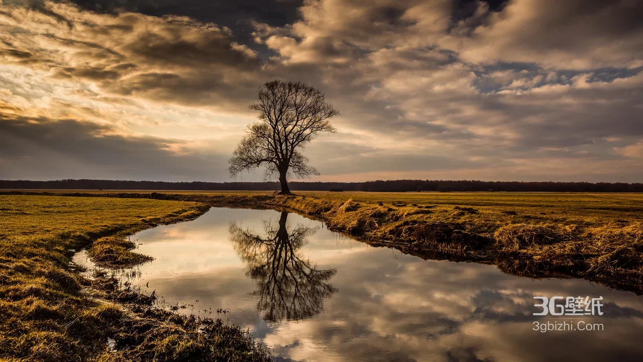 孤树小河倒影·唯美写实风 田园电脑壁纸1