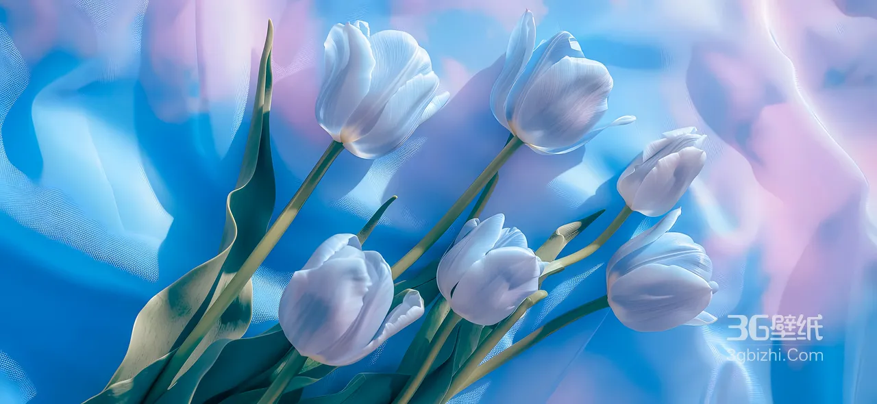 白色郁金香花束·梦幻柔焦风 宽屏桌面背景素材1