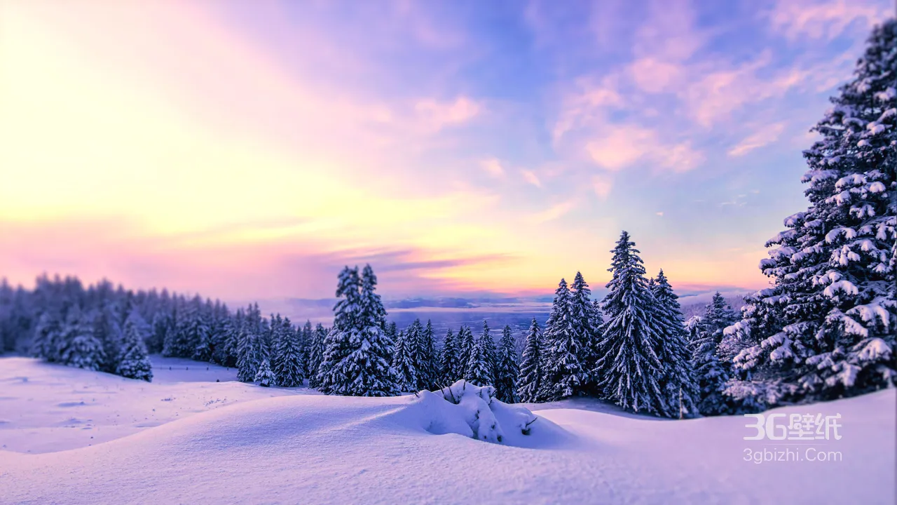 唯美冬日雪林黄昏雪原·梦幻宽屏车机风1