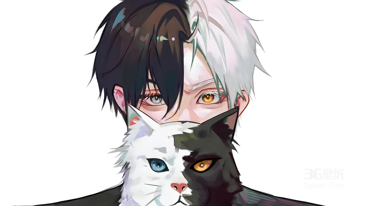 黑白发色异色瞳帅哥抱黑白异瞳猫 二次元动漫风电脑壁纸1