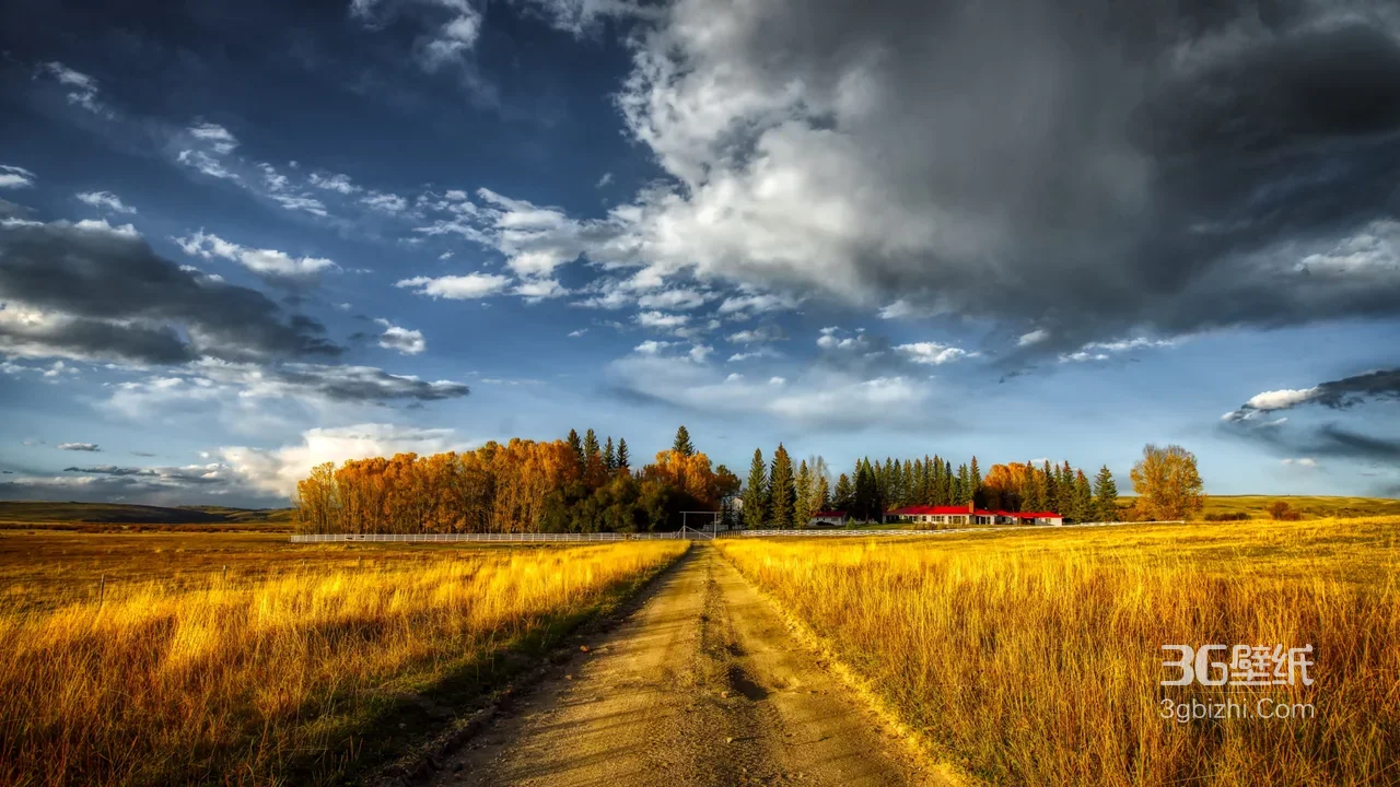 田园秋景·乡间土路红顶屋 唯美写实秋林草甸宽屏壁纸1